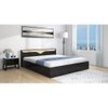 Caily Queen Size Bed In Wenge Finish