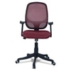 Goolda Low Back Ergonomic Chair in Maroon Colour