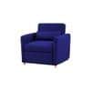 Jernell 1 Seater Sofa Cum Bed In Navy Blue Color