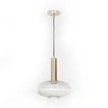 Maloto Clear Glass and Brass Hanging Light
