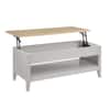 Wynmist Coffee Table Desk Grey