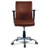 Teaauras High Back Executive Chair in Brown Colour