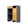 Hexa Red Multipurpose Storage Cabinet With 1 Drawer 1 Door in Slate Grey And Giant Wood Colour