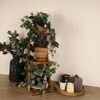 Lyric 3 Tier Shelf & Planter