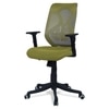 Zeeazyana Mid Back Ergonomic Chair in Pearl Green Colour