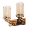 Eliante Modern Wall Lights Mild Steel & Glass Material Gold & Champaign Finish
