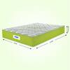 Peps Springkoil Ortho Luxe 8 Inch Pocket Spring Latex Foam Mattress Queen 72x60