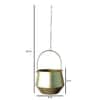 Hanging Wine Planter Set Of 2 In Gold Colour