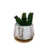 White 1 Pieces Succulent Artificial Plant With Pot