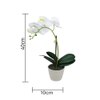 Beige 1 Pieces Orchid Artificial Plant With Pot