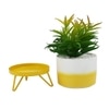 Attractive Faux Plant With Dual Shade Ceramic Pot On A Yellow Stand