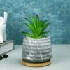 White 1 Pieces Succulent Artificial Plant With Pot