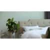 Prajna Engineered Wood Queen Size Bed In White Finish