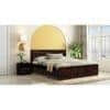 Brilliant Sheesham Wood Queen Size Bed Non Storage Bed Walnut Finish (60 x 78 inches)