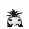 Black 1 Pieces Succulent Artificial Plant With Pot
