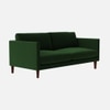 Tharoli Velvet 2 Seater Sofa in Green Colour