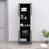 Hexa Red Wooden 2 Door Wardrobe with 4 Shelves in Slate Grey Colour