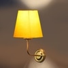Devansh Metal Electric Wall Light in Gold Colour with Yellow Shade Count of 1 Light
