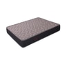 Repose Mattrix Affordable Bonnell Spring Mattress (L x W: 72 inch x 48 inch, Thickness 6 Inches )