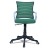 Xxeana Mid Back Ergonomic Chair in Dark Green Colour