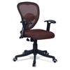 Aaeroa Low Back Ergonomic Chair in Brown Colour