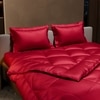 Stoa Paris Comforter Set Double Bed, 300TC Satin Double Bed Comforters in Flirty Red