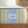 Dreamer Natural Latex Foam Mattresss (75 x 36 in, 6 Inches)