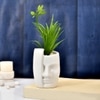 Artificial Green Oasis Plant With White Face Planter