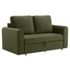 Baruna 2 Seater Velvet Pull Out Sofa Cum Bed with Storage In Green Color