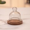 Ireka Homes Nibble Nest Acacia Wood Cake Stand with Glass Dome