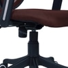 Aaeroa Low Back Ergonomic Chair in Brown Colour