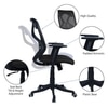 Zeeazyana Mid Back Ergonomic Chair in Black Colour