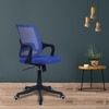 Ddeasirea Mid Back Ergonomic Chair in Blue Colour