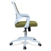 Xeanea Mid Back Ergonomic Chair in Pearl Green Colour