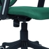 Aaeroa Low Back Ergonomic Chair in Dark Green Colour