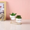 Minimalist Dual Pot Stand With Artificial Plants