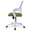 Xeanea Mid Back Ergonomic Chair in Pearl Green Colour