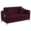 Daraco Velvet 2 Seater sofa in Red wine Color