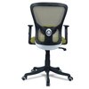 Peacifice Mid Back Ergonomic Chair in Pearl Green Colour