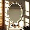 Oval Shape Lighted LED Mirror Modern Vanity Mirror