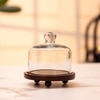 Ireka Homes Sugary Affair Acacia Wood Cake Stand with Glass Dome