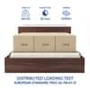 Lush Engineered Wood Queen  Size Bed With Box Storage (Walnut Finish)