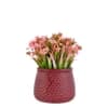 Pink Artificial Plant With Pot