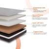 Laxe Natural Pincore Latex Mattress (75 x 36 in, 8 Inches)