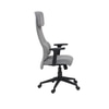 Markus Ergonomic Office Chair High Back in Grey Colour