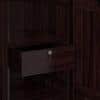 Magellan Solid Wood 2 Door Wardrobe in Mahogany Finish