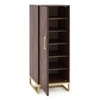 Nina 12 Pairs Solid Wood Shoe Cabinet In Mango Walnut Finish