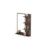 Rico Mini Engineered Wood Wall Mount Dressing Table Mirror with Shelves (Wenge)