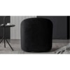 Chrishun Solid Wood Accent Chair in Black Colour