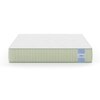 Dreamer Natural Latex Foam Mattresss (75 x 36 in, 6 Inches)